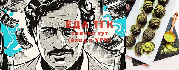 первитин Инта
