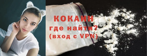 твердый Иннополис