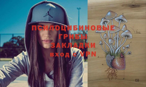твердый Иннополис
