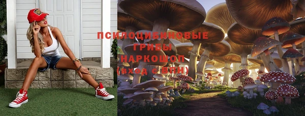 таблы Слюдянка
