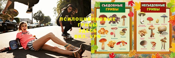 МДПВ Каменка
